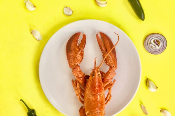 10 Minutes Dinner Recipes